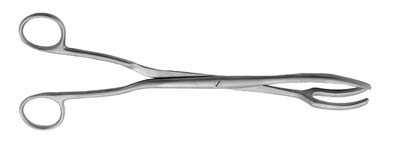 Davis Sterilizing Forceps 10"